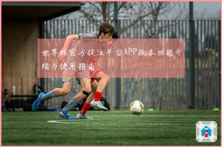 世界杯官方投注平台APP版本功能介绍与使用指南